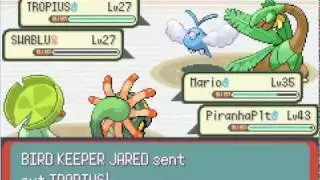 Emerald ruoho lp #24 Ruoho ei taivu tuulessa