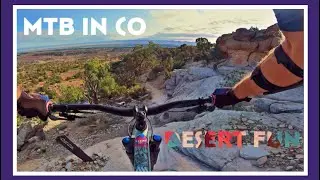 Best Mountain Bike Trails in Colorado??? Maybe&hellip;