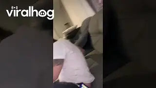 Sphynx Cat Slaps Owner || ViralHog