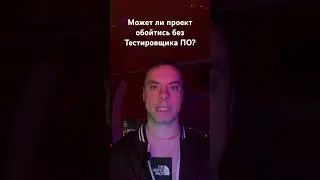 Может ли проект обойтись без Тестировщика ПО? #qa #softwaretesting #testing #тестирование