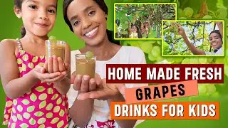 Fun Family Grape Harvest & Homemade Juice with Toddlers | Easy Recipe | The Brigy Family