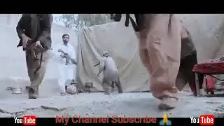 Pak Army New Songs 2020 By Beautiful Pak Army Training SSG Commando Best Video 2020   Pakistan Army