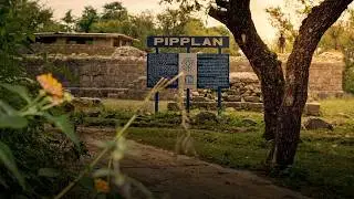 Exploring Pipplan Ruins of Taxila | Ancient Buddhist Heritage of Pakistan