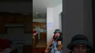 Whistle - Flo Rida (Violin Loop Pedal)