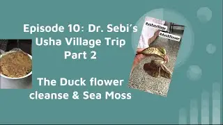 Ep 10: Dr. Sebi Usha Village pt 2. Duck flower & sea moss