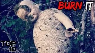 Top 10 Scary Wasp Nests That Need To Be Destroyed - Part 2