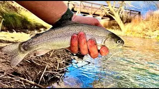 URBAN FISHING IN ALBUQUERQUE NM