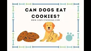 Can Dogs Eat Cookies?