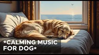 12 hours of Dog Sleep Music : Natural Anxiety Relief, Relaxation & Healing Sounds for Puppies 🐾