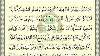 تحفيظ سورة الشورى ص 486 بالتكرار والتربيط، ،Memorization of Surat Al Shura p 486, by repetition