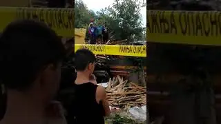 Pamoh