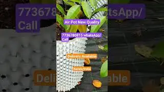 7736780815  WhatsApp/Call.#AirPot NEW QUALITY.#Air pot. #Air prooning pot, #Right pot, #air pruning