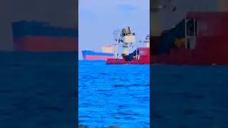 PASSING🌊 #containership #tug #ship #sea #waves #oiltanker #bulkcarrier #cargoship #epic #wow #wave