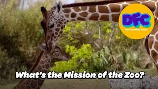 Conservation Conversations | What&rsquo;s the Mission of the Zoo?