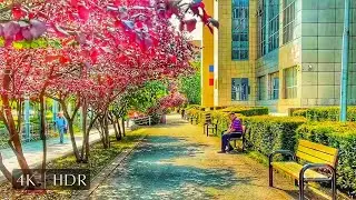Istoria vie a Bucureștiului | Bulevardul Unirii | Tur pietonal 🏛️✨🚶&zwj;♂️