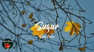 Surf Curse - Sugar (Lyric video)