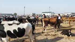 Сарыағаш мал базары