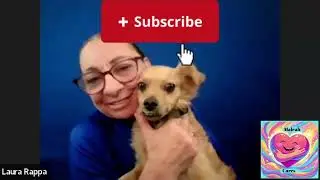 How My Rescue Dog Ended Up Rescuing Me 🐕🫂