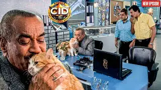 बिल्ली को अपनी गर्लफ्रेंड समझ ACP करने लगा उसे Kiss | CID | Latest Episode ||