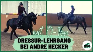 Dressur-Bootcamp mit Andre Hecker inkl. O-Ton 💪