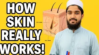 How Cosmetics Brighten Your Skin | Skin Physiology & Melanin Explained 