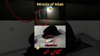 miralcle of allah