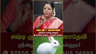 Rabbit, Rabbit Rabbit இந்த வார்த்தைக்கு இருக்கும் Vibration..!  #vibration #ibcbakthi #shorts