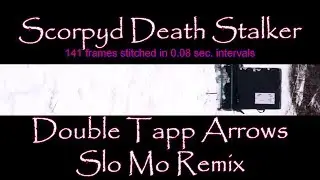 Scorpyd DS Crossbow Test #5 Slo Mo Remix High Speed Video Double Tapp Arrows