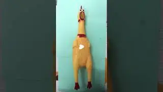 Squawking Rubber Chicken Toy, Squawking Yellow Chicken Dog Toy, Prank Novelty Gift Toy #candy