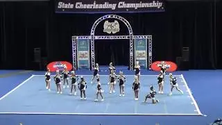HOCO 2017 State Performance