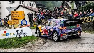 WRC Croatia Rally 2022 / Misstakes - Jumps - Flat out
