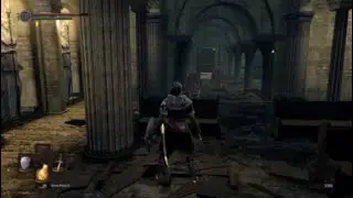 DS1 | Dex/Int - BSS Farm, Magic Weapon, Gargoyles, and Capra