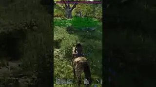 Unleashing the Power of Equus: Taming Dimorphodons