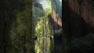 Kayaking Riverbend Park - Jupiter, Florida