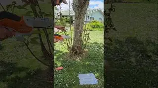 Stihl GTA 26 battery garden pruner