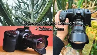 Blackmagic Cinema Camera 6K - Shooting Open Gate Video with a 14mm Lens