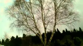 CLIP0083