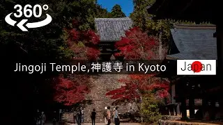 【 Japan-VR 】Jingo-ji Temple in autumn【8K video】