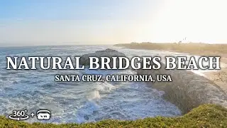 Explore a 360&deg; immersive VR experience of Natural Bridges Beach in Santa Cruz, California, USA!