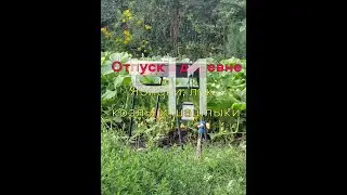 Ч1 Мы опять едем в деревню!!