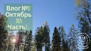 Влог № 17. Октябрь 2025. Часть 1.