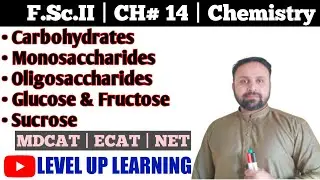 Carbohydrates | Monosaccharides | Glucose | Fructose | F.Sc.II | Macromolecules | CH#14 | ECAT  MCAT