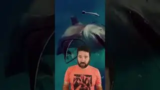 25 Real Images That Will Trigger Your Thalassophobia
