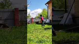 Работа ждет пока мы пляшем#детскийканал#семейныйканал#shortsvideo#влоги#tiktok#vlog