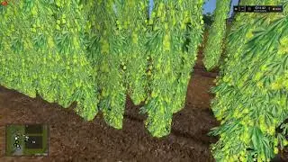 Farming Simulator 17 seasons MR Pine Cove Productions ep.57  Hop harvest