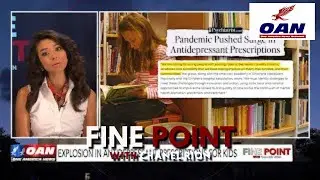 Minnesota School Shooting Sparks Debate Over SSRIs Mental Health And Youth Safety | Fine Point