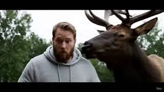 Elk Encounter Surprise