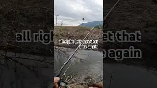 Ловля микробаса в ручье Конехо