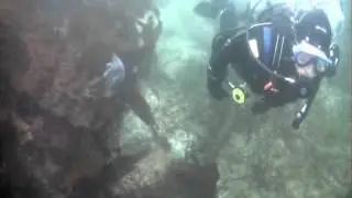 Dive Tyee Beach Vancouver Island BC