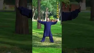武当道门八段锦（完整版）－零基础也可以学会，每天两练，精气神好，百病驱除#八段锦#道家养生#传统武术#武当武术#张师永#健康